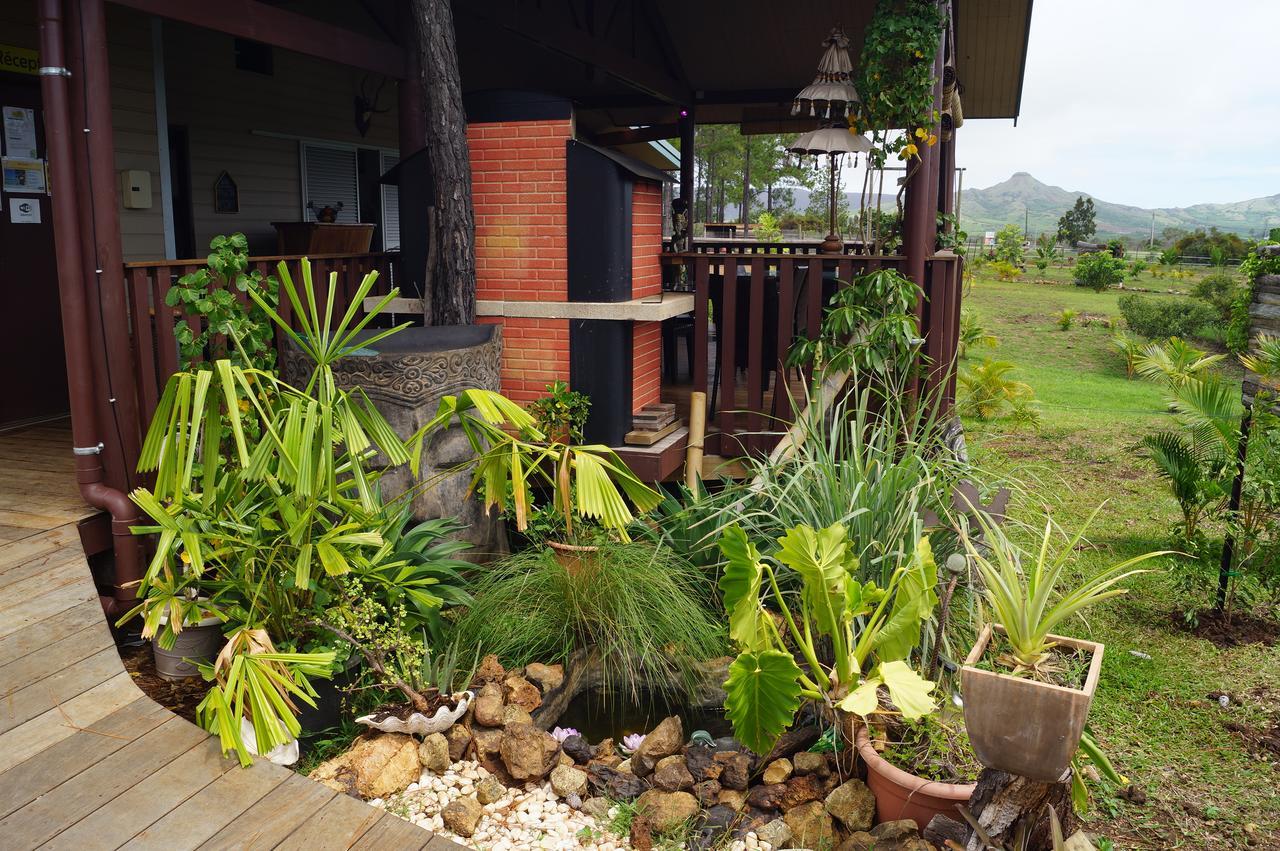 Le Gite Du Koniambo Voh Exterior photo