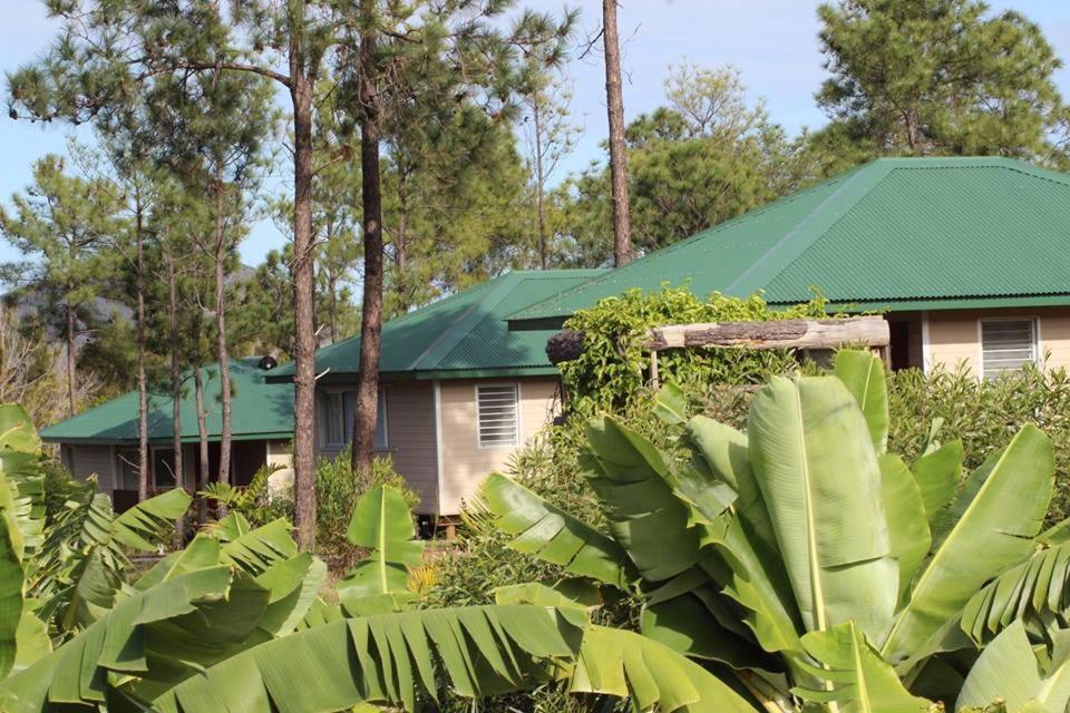 Le Gite Du Koniambo Voh Exterior photo